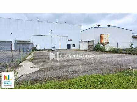 local d'activité 440 m2