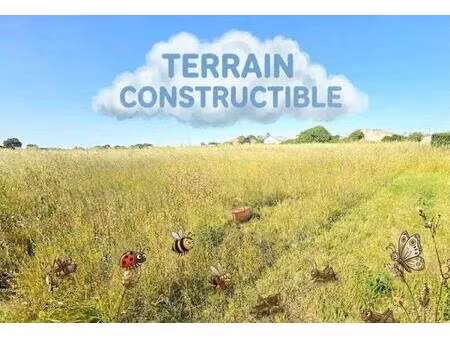 terrain à vendre