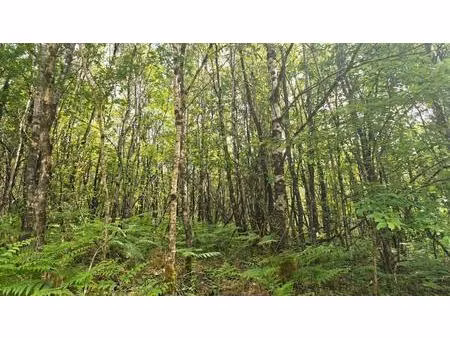 terrain boisé à vergt