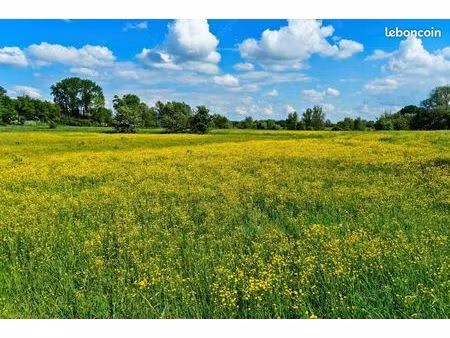 terres / prairie à louer – chevaux  pâturage  activités nature