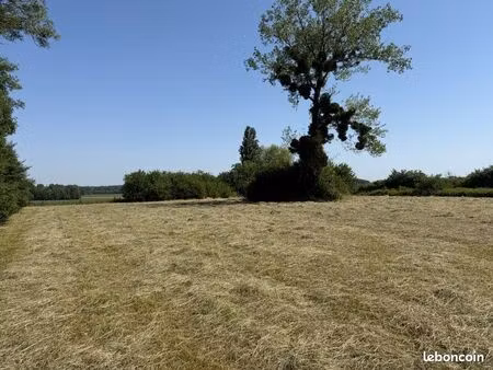 terrain constructible