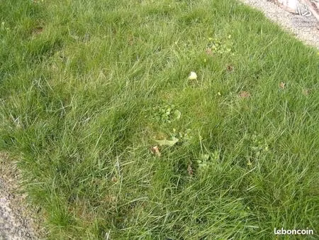 terrain 1170 m² la cheze