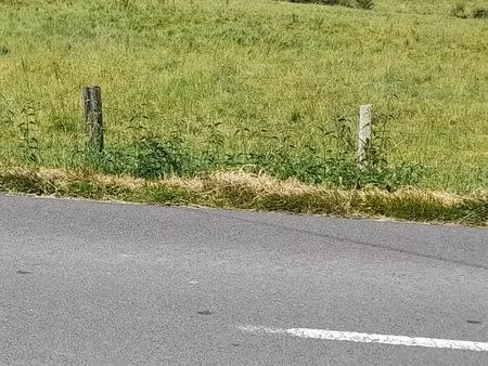 pré 1 4 ha avec rivière et hangar chevaux -region de perche