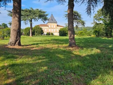 château à vendre – 10 min de carbonne – bord de garonne – 2 7 hectares – accès a64 à 6 min