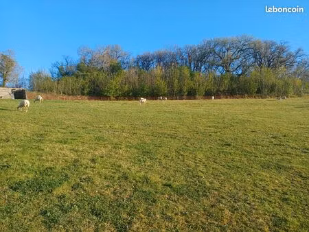 vente terrain agricole