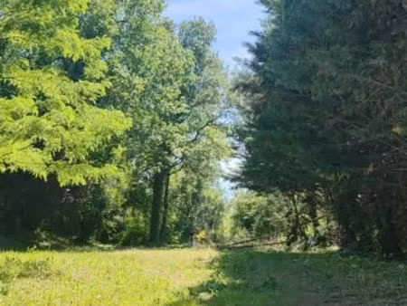 terrain 1 353 m² fronton