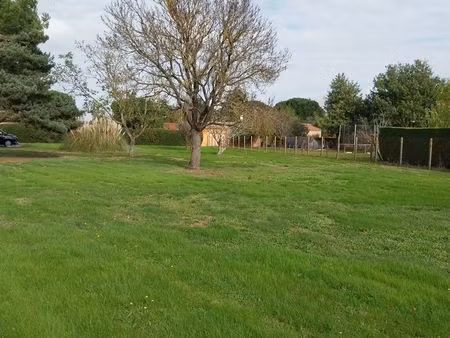 terrain constructible