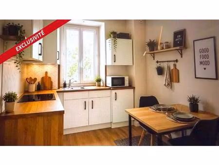 appartement / studio de 27 m² séjour lumineux  cuisine meublée équipée. cave privée. centr