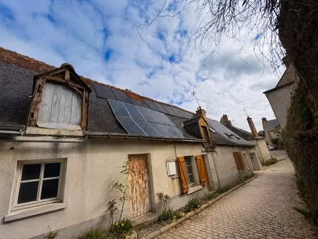 monts centre : tres beau potentiel