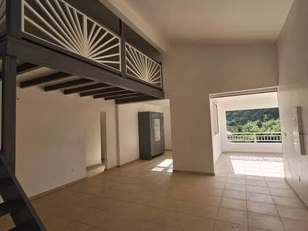 mn immobilier