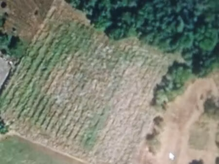 terrain avec cu