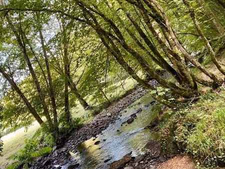 étang rivière bois terres viabilisables