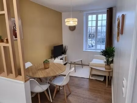 appartement t2 refait à neuf - centre-ville (appart #1)