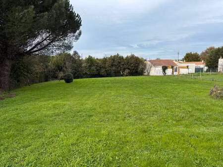 vente terrain à vairé (85150) : à vendre / 1300m² vairé