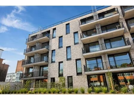 appartement à louer à bouwensstraat 29 borgerhout (rbw01719)