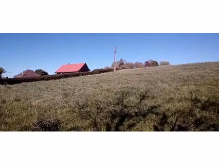 terrain à bâtir au calme – cadre verdoyant – proche saint-omer