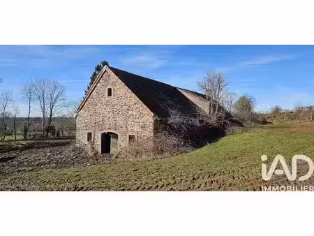 vente ferme 2 pièces 290 m² à ally (15700)  37 500 €