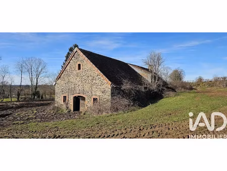 vente ferme 2 pièces 290 m² à ally (15700)  39 000 €