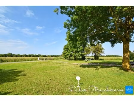 terrain 462 m² à vendre le thou (17)