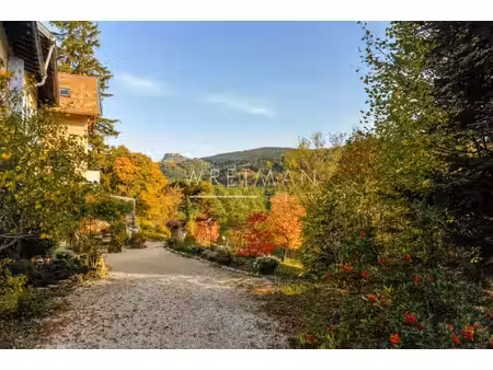 très belle et unique maison - andon (thorenc)