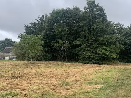 vente ferme 1 pièce 58 m² à drefféac (44530)  79 000 €