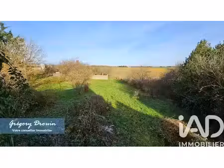 vente ferme 1 pièce 120 m² à saint-loup-des-vignes (45340)  74 000 €