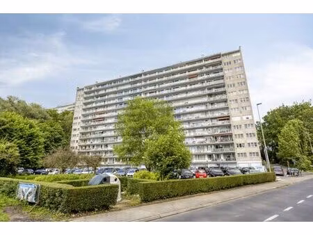 appartement à vendre à breughelpark 16 relegem (rbw01559)