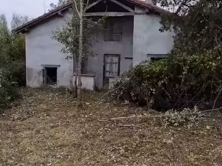 vente ferme 1 pièce 250 m² à thil (31530)  110 000 €