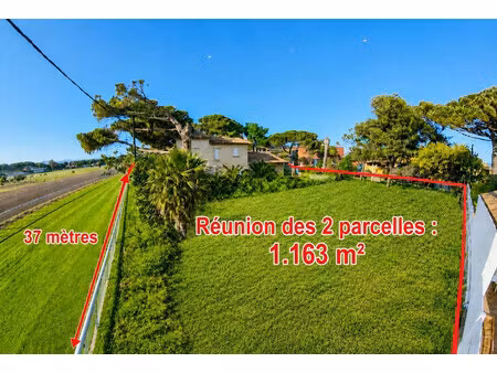 vente terrain