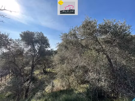 vente terrain 1300 m² à lézignan-corbières (11200)  96 000 €