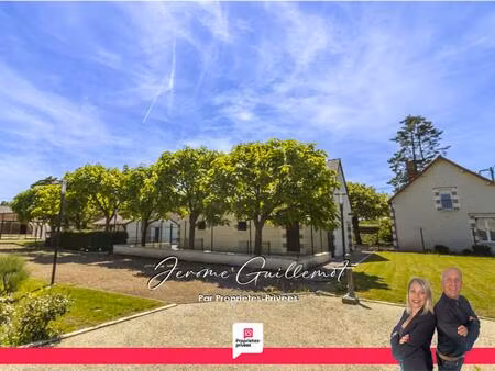 maison villefranche sur cher 12 pièce(s) 291.5 m2