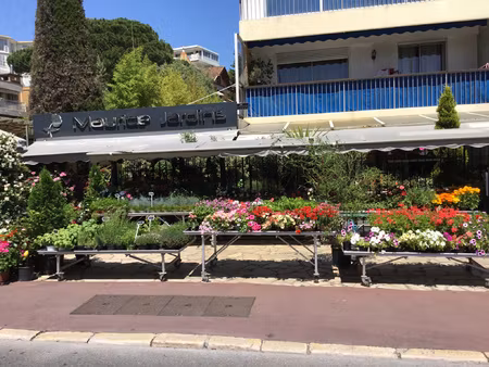 achat local commercial 81m² cannes 06400