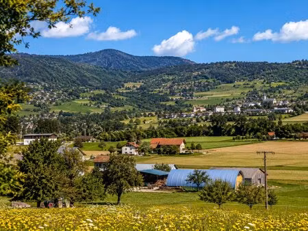 magnifique terrain constructible viabilisé viuz de 1423m2
