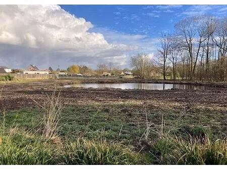 grond te koop in begijnendijk