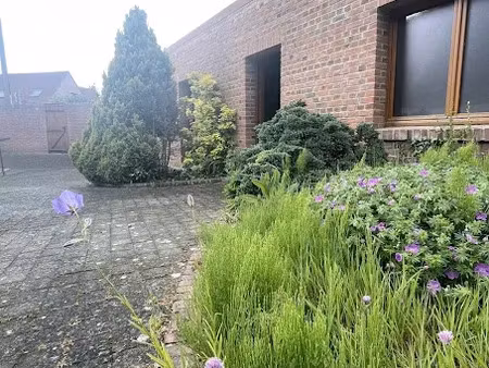 vente maison 5 pièces 82 m² à cassel (59670)  209 500 €