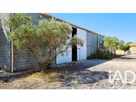 vente ferme 1 pièce 1 m² à puissalicon (34480)  262 000 €