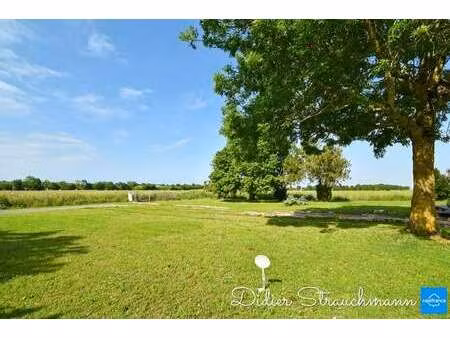 vente terrain au thou (17290) : à vendre / 462m² le thou