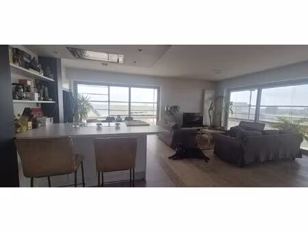 appartement en colocation à karel oomsstraat anvers (vbe26674)
