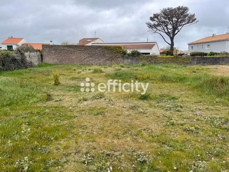 terrain - 540 m²