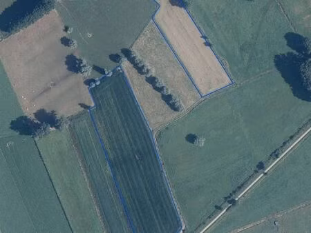terrain agricole à vendre à ganzendries oplinter (rbw01634)