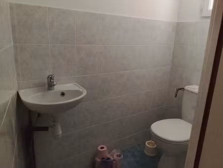 vente maison 3 pièces 75 m² mézières-en-brenne (36290)