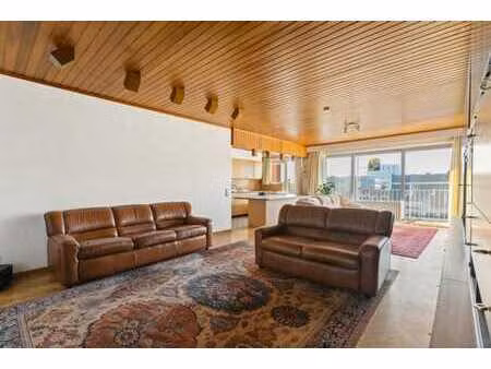 grand appartement rétro avec 3 chambres et 2 terrasses
