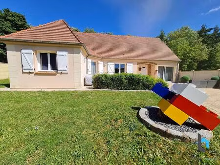 mgn immobilier nogent le roi