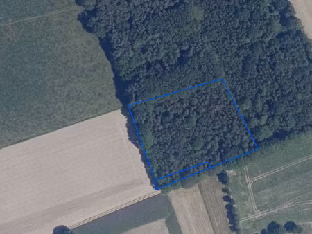 terrain à vendre à peer € 14.000 (lol0q) - van der meersch & haesevoets | zimmo