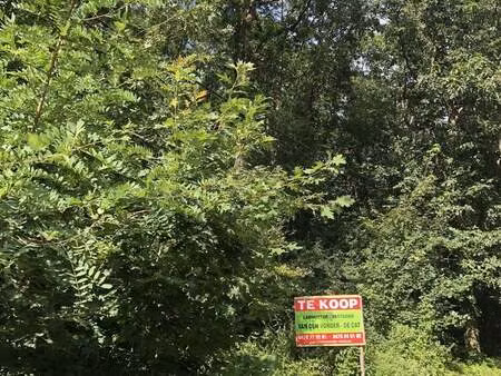 terrain à vendre à westmeerbeek € 55.000 (lols9) - vastgoed de cat | zimmo