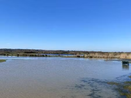 vente terrain à bois-de-céné (85710) : à vendre / bois-de-céné