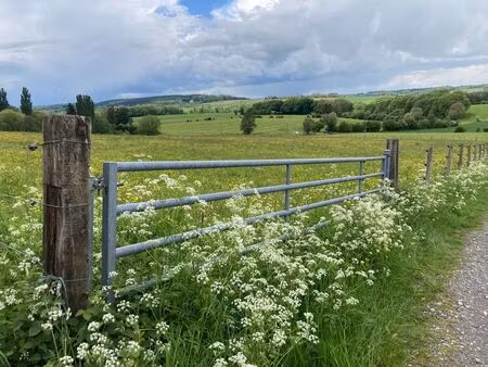 terrain à vendre à borlon € 144.000 (lol5b) - isimmo srl | zimmo