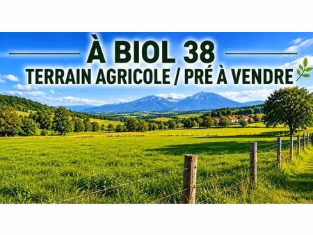 terrain agricole