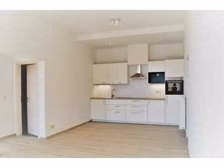 lumineux appartement 1 chambre rénové avec balcon et parking