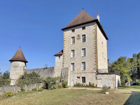 vente château 14 pièces
